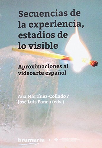 Papel SECUENCIAS DE LA EXPERIENCIA  ESTADIOS DE LO VISIB