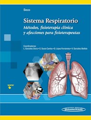 Papel Sistema Respiratorio