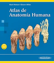 Papel Atlas De Anatomía Humana