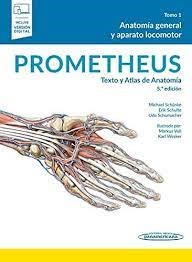 Papel Prometheus. Texto y Atlas de Anatomía Ed.5