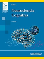 Papel Neurociencia Cognitiva