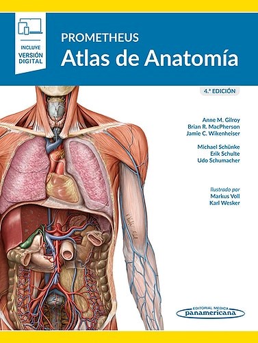 Papel PROMETHEUS Atlas de Anatomía Ed.4