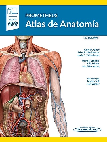 Papel PROMETHEUS ATLAS DE ANATOMIA (4 EDICION) (INCLUYE VERSION DIGITAL)