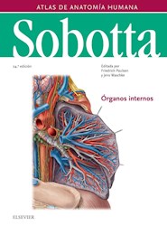 Papel Sobotta. Atlas De Anatomía Humana Vol.2 Ed.24