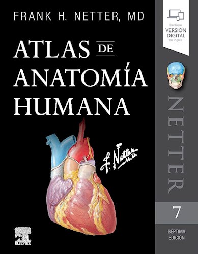 Papel Netter. Atlas de Anatomía Humana Ed.7