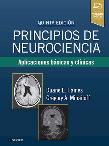 Papel Principios de neurociencia