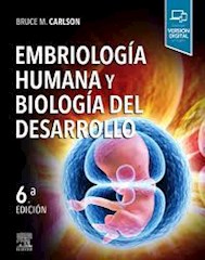 Papel Embriología Humana Y Biología Del Desarrollo Ed.6º