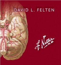 Papel Netter. Flashcards de Neurociencia Ed.3