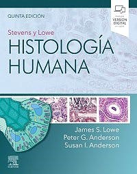 Papel Stevens y Lowe. Histología humana Ed.5