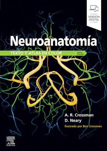 E-book Neuroanatomía. Texto y atlas en color