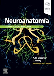 E-book Neuroanatomía. Texto Y Atlas En Color