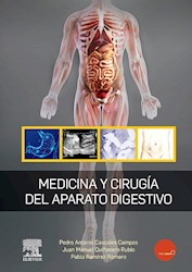 Papel Medicina Y Cirugía Del Aparato Digestivo