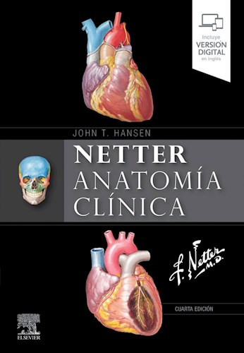 Papel Netter. Anatomía clínica Ed.4