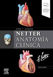 Papel Netter. Anatomía Clínica Ed.4