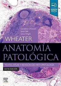 Papel Wheater. Anatomía Patológica Ed.6