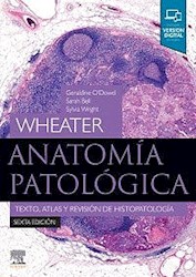 Papel Wheater. Anatomía Patológica Ed.6