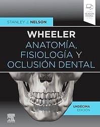 Papel Wheeler. Anatomía, Fisiología y Oclusión Dental Ed.11