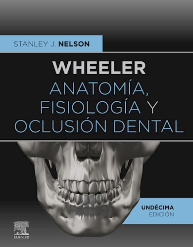 E-book Wheeler. Anatomía, fisiología y oclusión dental