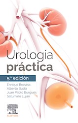 E-book Urología Práctica