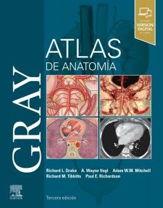 Papel Gray. Atlas de Anatomía Ed.3
