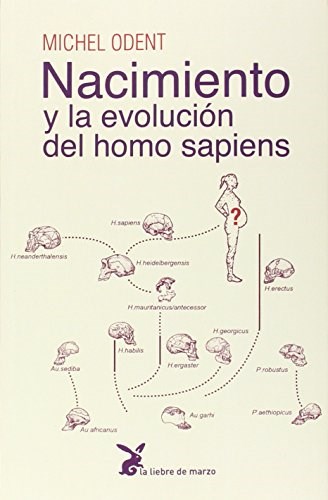 Papel NACIMIENTO Y LA EVOLUCION DEL HOMO SAPIENS