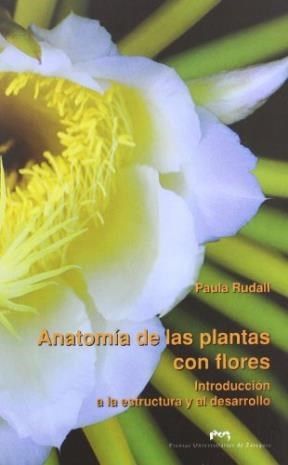 Papel Anatomía de las plantas con flores