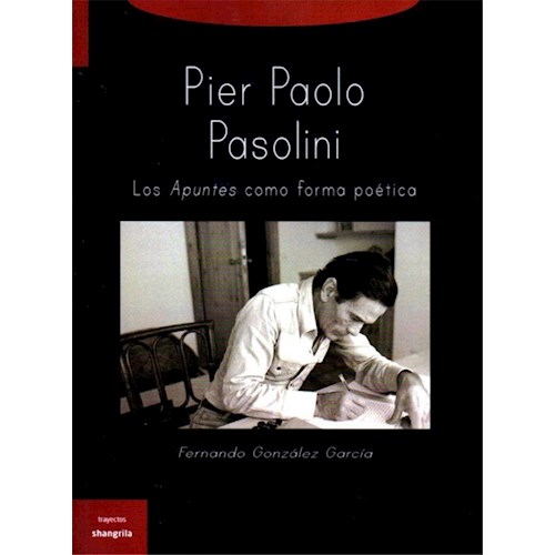 Papel PIER PAOLO PASSOLINI LOS APUNTES COMO FORMA POETICA
