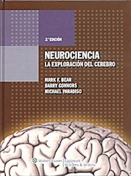Papel Neurociencia: La Exploracion Del Cerebro