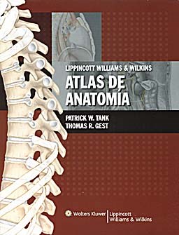 Papel Atlas de Anatomia