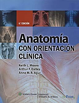 Papel Anatomia Con Orientacion Clinica