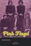 Papel Pink Floyd, Más Allá Del Muro