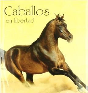 Papel CABALLOS EN LIBERTAD LAS MAS BELLAS FOTOGRAFIAS DE CABALLOS EN LA NATURALEZA (CARTONE)