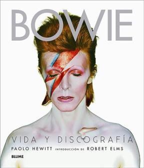 Papel DAVID BOWIE VIDA Y DISCOGRAFIA (CARTONE)