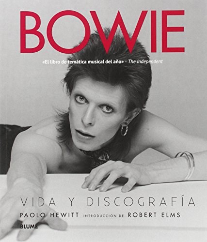 Papel DAVID BOWIE VIDA Y DISCOGRAFIA