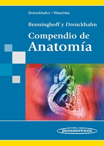Papel BENNINGHOFF y DRENCKHAHN Compendio de Anatomía