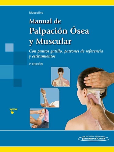 Papel MANUAL DE PALPACION OSEA Y MUSCULAR CON PUNTOS GATILLO PATRONES DE REFERENCIA Y ESTIRAMIENTOS (2 ED