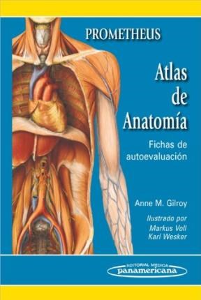 Papel Prometheus. Atlas de Anatomia. Fichas de autoevaluación