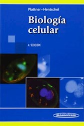 Papel Biología Celular