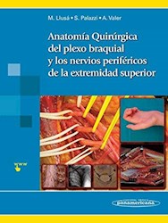 Papel Anatomía Quirúrgica Del Plexo Braquial Y Nervios Periféricos De La Extremidad Superior