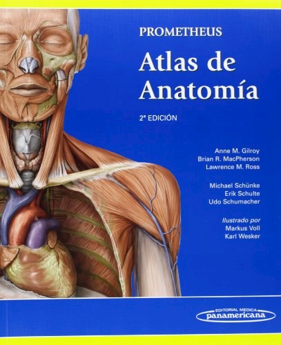 Papel Prometheus. Atlas de Anatomía Ed.2º