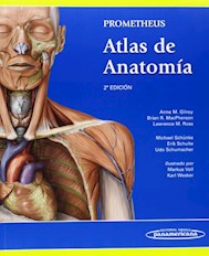 Papel Prometheus. Atlas De Anatomía Ed.2º