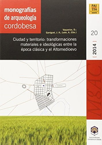 Papel CIUDAD Y TERRITORIO   TRANSFORMACIONES MATER
