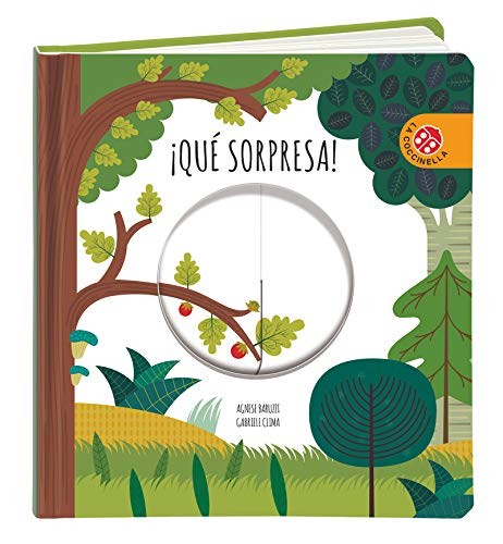 Papel QUE SORPRESA (COLECCION RUEDAS MAGICAS) (ILUSTRADO) (CARTONE)