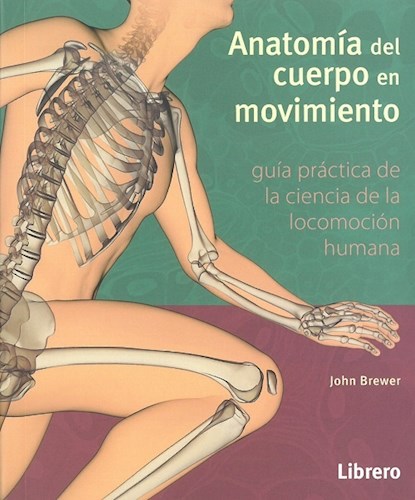 Papel Anatomia Del Cuerpo En Movimiento