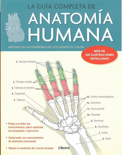 Papel Guia Completa De Anatomia Humana