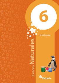 Papel CIENCIAS NATURALES 6 ESTRADA CONFLUENCIAS