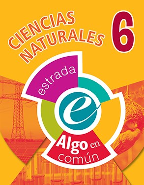 CIENCIAS NATURALES 6 ESTRADA (ALGO EN COMUN) (NOVEDAD 2017) por ALGO EN COMUN - 9789500118774 - Casassa y Lorenzo