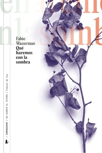 Papel QUE HAREMOS CON LA SOMBRA (COLECCION EN CUANTO AL FUTURO POESIA DE HOY)