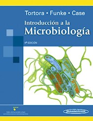 Papel Introducción A La Microbiología