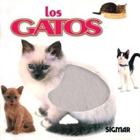 Papel LOS GATOS - COLECCION CARICIAS